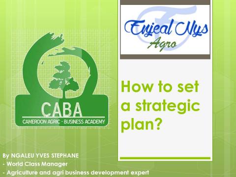 THE GROWTH OF AN ORGANISATION DEPENDS ON THE DEVELOPMENT OF ITS MEMBERS… FOR AN ORGANISATION TO FUNCTION EFFECTIVELY,… IT NEEDS TO HAVE A VISION…THIS VISION CAN BE ACHIEVED ONLY THROUGH A GOOD STRATEGIC PLANNING